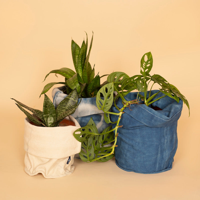 Canvas Planter