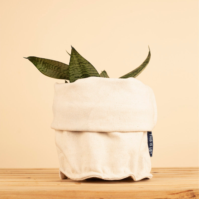 canvas planter pots Canvas Planter
